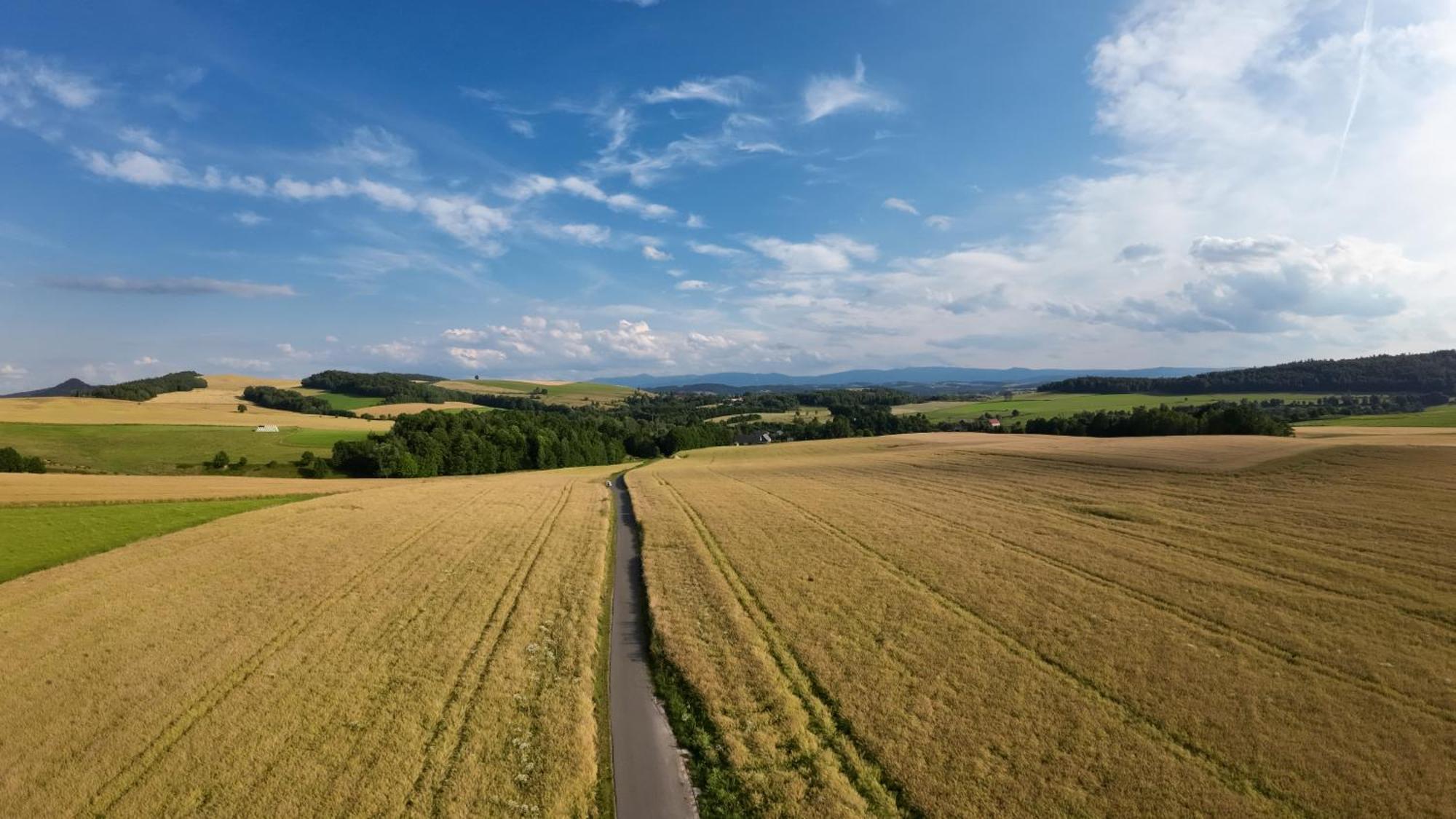 Agroturystyka Brzozowe Wzgorze Wlen Exterior photo